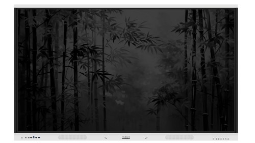 Monitor interaktywny myBoard Panda 2.0 65"