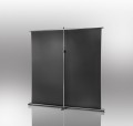 Celexon Ultramobile Professional 160x100