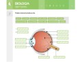 Multimedialne Pracownie Przedmiotowe Biologia (kl. 5-8)