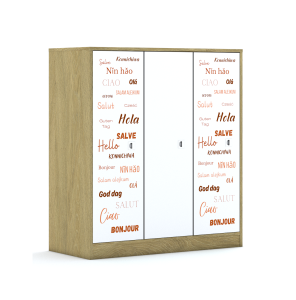 Szafa Blox Hello 110 3PP 3F3 1049x466x1165 korpus dąb/3x front biały